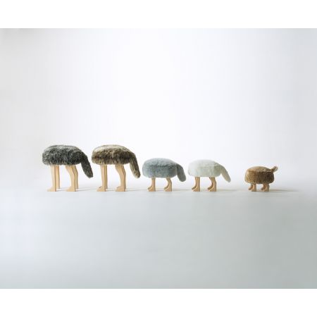 ANIMAL STOOL Image