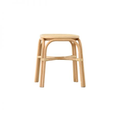 SR Stool Image